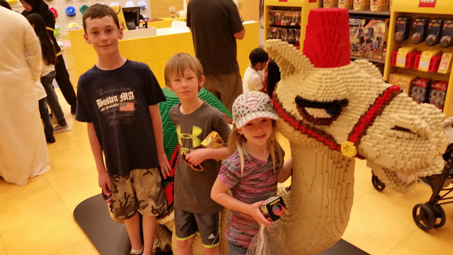 13230276_10208558267090746_2271649455688882389_n